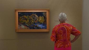 Hollanda'daki müze 88 Van Gogh tablosunu 42 yıl sonra yeniden sergiliyor