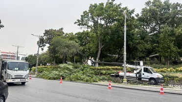 Konya'da fırtınada tramvay yoluna devrilen ağacın altında kalan çocuk yaralandı