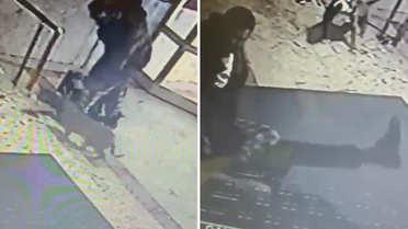 Pitbull korkusu site sakinlerini bezdirdi! Ailelerin yardım istediği kaymakama saldırı kamerada