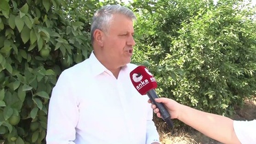 Barut, limonda 10 liralık maliyete dikkat çekti, hal yasası çağrısı yaptı