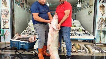 Balıkçı tezgahındaki 69 kiloluk dev balık Batman'da şaşkınlık yarattı