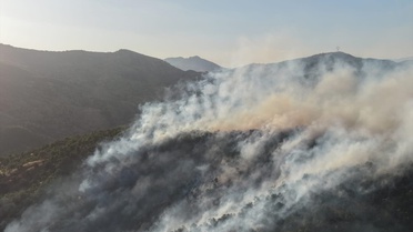 Bingöl'de orman yangını kontrol altına alındı