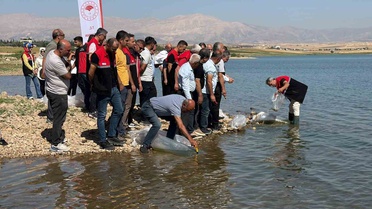 Adıyaman Çamgazi Baraj Göleti'ne 680 bin yavru sazan balığı bırakıldı