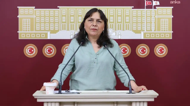 DEM Partili Saki, 'Ailem Güvende' operasyonlarını iki bakanlığa sordu