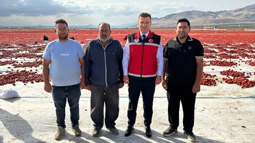 Niğde Bor'da kuru domates ve lahana hasadı başladı, 300 bin ton rekolte bekleniyor