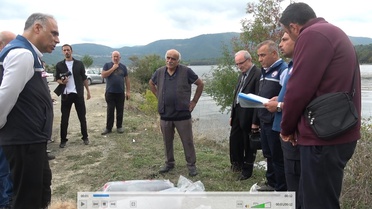Samsun'da göl ve barajlara 1 milyon 125 bin sazan yavrusu bırakıldı