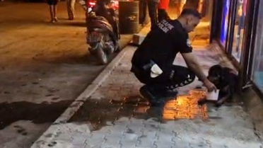 Samandağ'da silahla vurulan sokak köpeğine polis ekipleri sahip çıktı