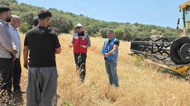 Dicle'de yüzde 75 hibeli mercimek tohumu için başvurular başladı
