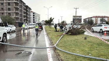 Aksaray'da otomobil çarptığı direği ve refüjdeki ağacı devirdi, sürücü yaralandı