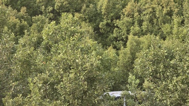 Adaklı'da yolcu minibüsü devrildi: Araçtaki 10 kişi hastanelik oldu
