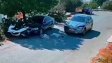 Muğla Bodrum'da otomobil 2 köpeğin üzerinden geçti, mahalleli şikayetçi oldu