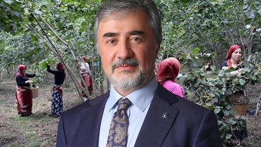 Hamarat’tan ihracatçı ve tüccarlara fındık fiyatı çağrısı: Üreticinin emeğini gözetin