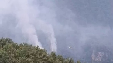 Hatay Dörtyol'da orman yangını çıktı, ekipler havadan ve karadan müdahale ediyor