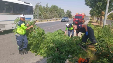 Batman-Silvan karayolunda devrilen ağaç itfaiye ekiplerince kaldırıldı