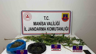 Manisa Sarıgöl'de 352 gram esrar ve 44 kök kenevir ele geçirildi, şüpheli tutuklandı