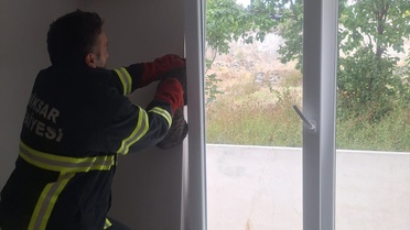 Tokat Niksar'da apartman penceresinde sıkışan kedi itfaiye tarafından kurtarıldı