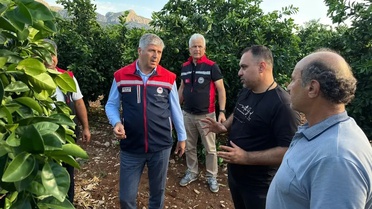 Adana'da dolu narenciye bahçelerini vurdu, Yüreğir'de hasar tespiti başlatıldı