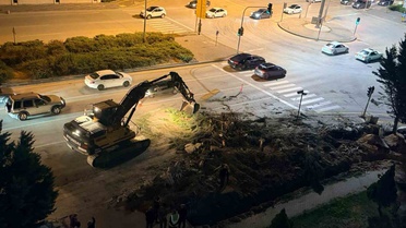 Ankara Etimesgut'ta yol genişletme için 11 ağacın kesildiği iddiası tepki çekti