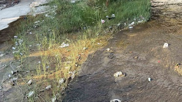 Tabakhane Deresi'ndeki çöpler Aydın Efeler'de kötü görüntü, çevre kirliliği oluşturdu