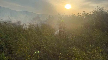 Balıkesir Sındırgı'da Alacaatlı Mahallesi'nde çıkan ot yangını söndürüldü.