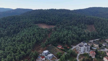 Bursa Nilüfer Çalı'da 3 ayı tedirginliğe yol açtı, muhtar tedbir çağrısı yaptı