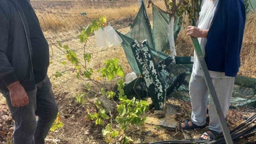 Eskişehir'de bahçe tellerine kimliği belirsiz kişilerce zarar verildiği iddia edildi