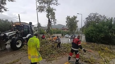 Hatay Yayladağı'nda fırtınanın devirdiği ağaç park halindeki aracın üstüne düştü