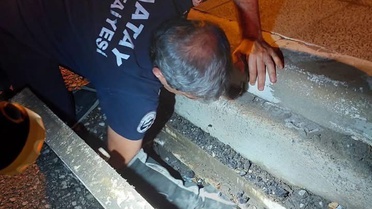 Hatay İskenderun'da mahsur kalan hayvanlar itfaiye ekiplerince kurtarıldı