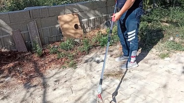 Hatay Samandağ'da yerleşimdeki yılan zarar verilmeden yakalanıp doğaya bırakıldı