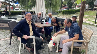 Samsun Kavak'ta simge haline gelen kuzu Tertip, Mecit Uzun'u yalnız bırakmıyor