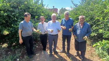 Adana Yüreğir'de dolu yaklaşık 35 bin dönüm tarım alanına zarar verdi, TZOB söz verdi