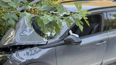 Hatay İskenderun'da direğe çarpan otomobildeki yaralı sürücüyü itfaiye kurtardı