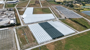 Bafra Sera Organize Tarım Bölgesi'nde ilk etapta 100 ton üretim hedefleniyor