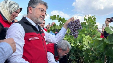 Yumaklı, bu yıl üzüm rekoltesinin 3 milyon 850 bin tona ulaşmasını bekliyor