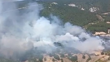 Balıkesir Karesi'deki orman yangınına ekipler havadan ve karadan müdahale ediyor