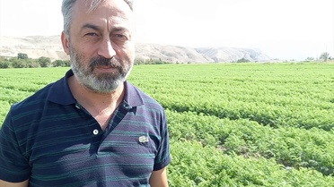 Beypazarı'nda 612 bin 578 dekar alanda tarımsal üretim yapıldı