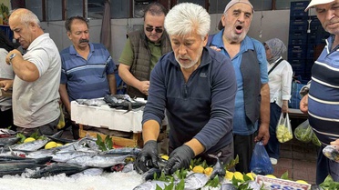 Bolu'da palamut tezgahları doldurdu, tanesi 125 TL'den alıcı buluyor