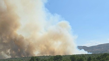Diyarbakır'da Silvan ile Lice arasındaki orman yangını kontrol altına alındı