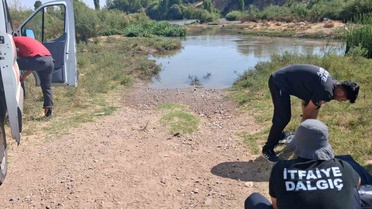 Diyarbakır Sur'da adacıkta mahsur kalan 52 keçi ve oğlak 3 gün sonra kurtarıldı