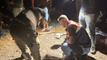Hayvan otlatan çoban ormanda kafatası buldu! Gazipaşa'da adli tahkikat başladı