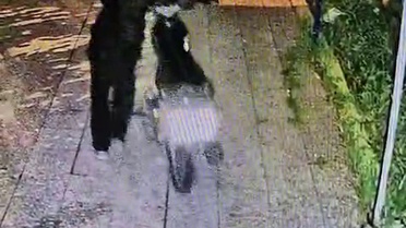 Hatay Reyhanlı'da maskeli 2 kişi ev avlusundaki motosikleti iterek çaldı