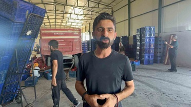 Karacabey'de salçalık biberde hibrit tohumla dönüm verimi 8-10 tona çıkıyor