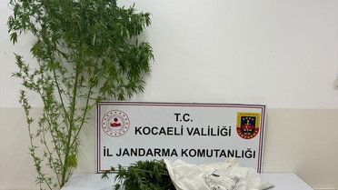 Kocaeli Kartepe'de jandarma 3 kilo 750 gram esrar ele geçirdi, 1 şüpheli tutuklandı