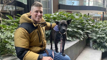 Paul Conyngham, köpeği Rosie'ye mRNA aşısı geliştirdi, tümör yüzde 75 küçüldü