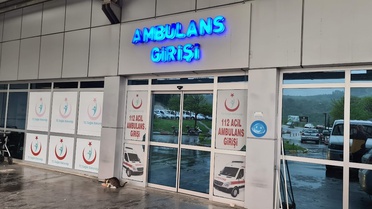 Zonguldak Alaplı'da ağaçtan düşen kişi, merdiveni tutan kişiyle birlikte yaralandı