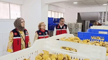 Aydın İnciri tesislerinde denetim sürüyor, İl Müdürü Temiz Nazilli'de inceleme yaptı