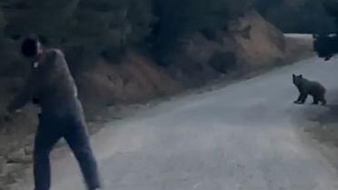 Bolu Mudurnu'da ayıya seslenen arkadaş grubu, hayvanı taş atarak kovaladı