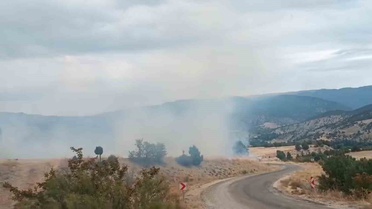 Bolu Seben'de yangın HES'lere varmadan söndürüldü, yaklaşık 8 dönüm arazi zarar gördü