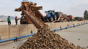 Elazığ Şeker Fabrikası 2026-2027 kampanyasında 240 bin ton pancar işleyecek