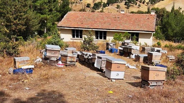 Kütahya Emet'te arılı kovan tespiti yapıldı, kontrollerin sürdüğü belirtildi